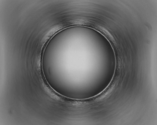X0000113950938200909251336