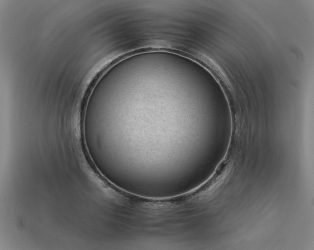 X0000113950939200909251336