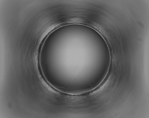 X0000113950941200909251336