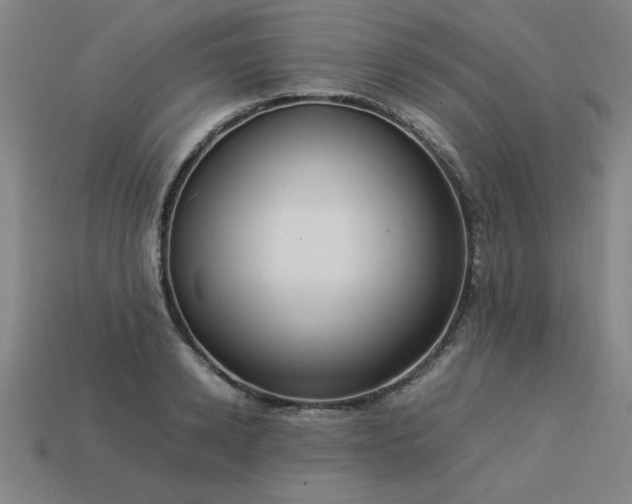 X0000113950942200909251336