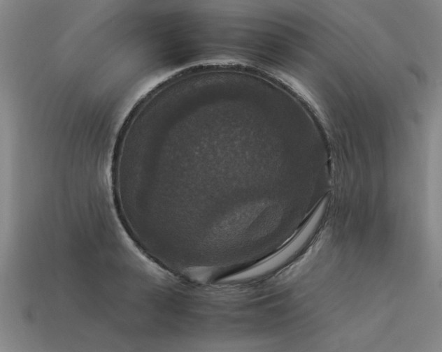 X0000113950943200909251336
