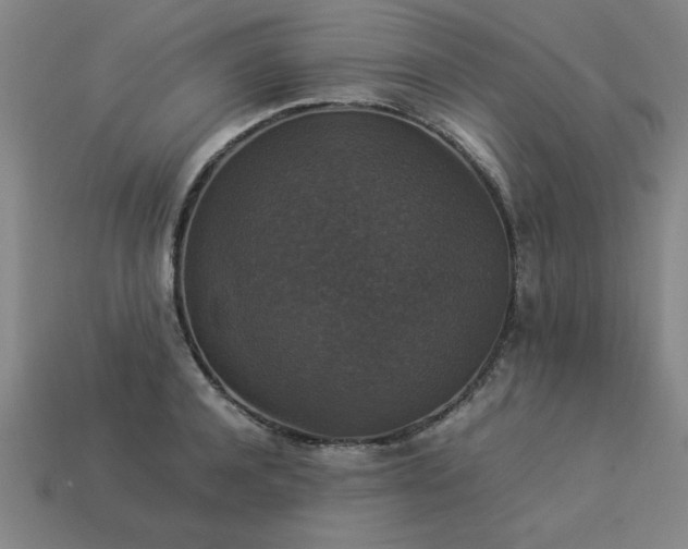 X0000113950944200909251336