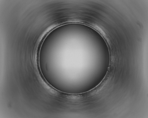 X0000113950947200909251336