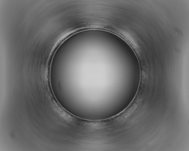 X0000113950948200909251336
