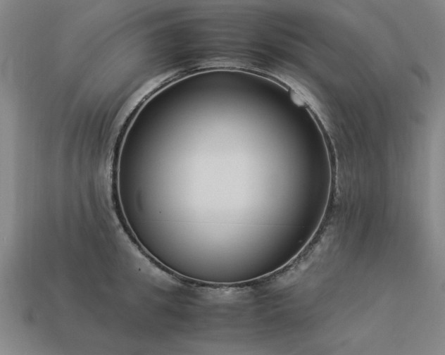 X0000113950949200909251336
