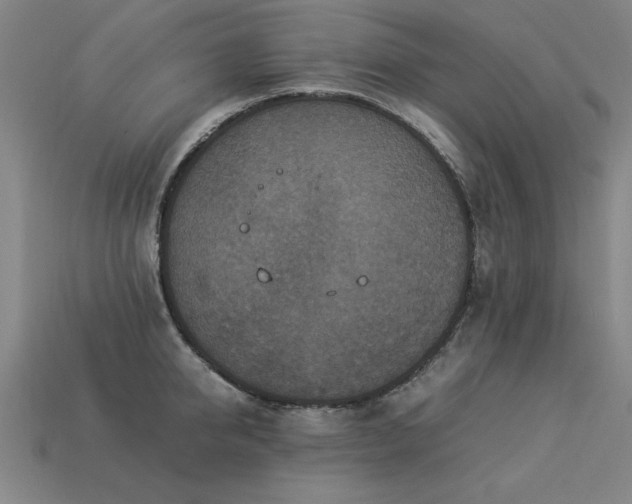X0000113950950200909251336