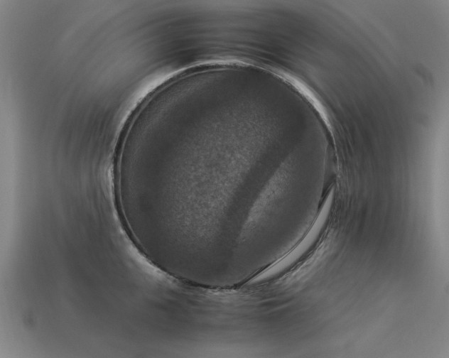 X0000113950951200909251336