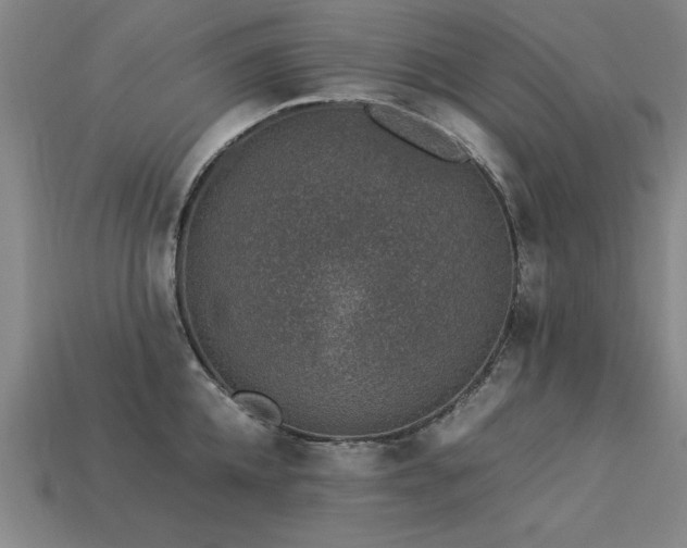 X0000113950952200909251336