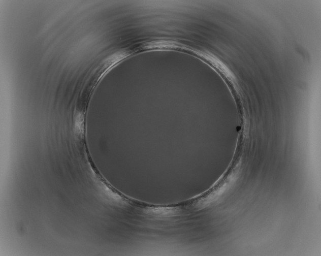 X0000113950953200909251336