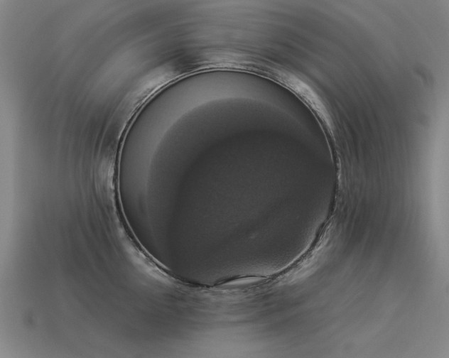 X0000113950954200909251336