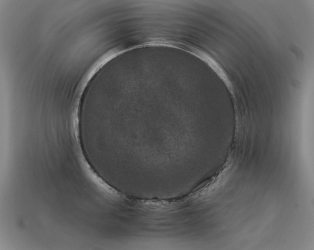 X0000113950955200909251336