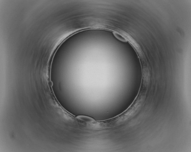 X0000113950956200909251336