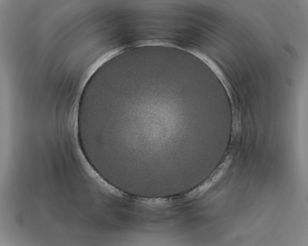 X0000113950957200909251336