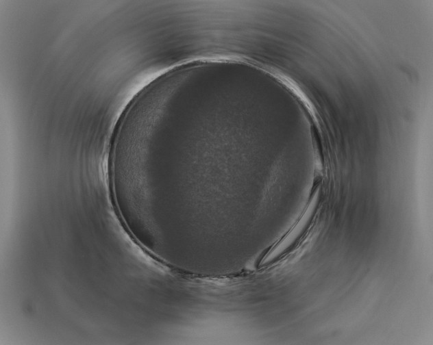 X0000113950959200909251336