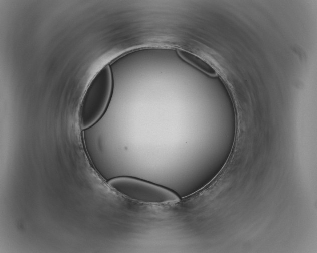 X0000113950960200909251336