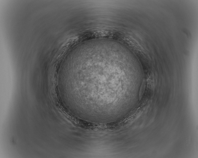 X0000113950961200909251335