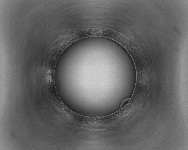 X0000113950962200909251335