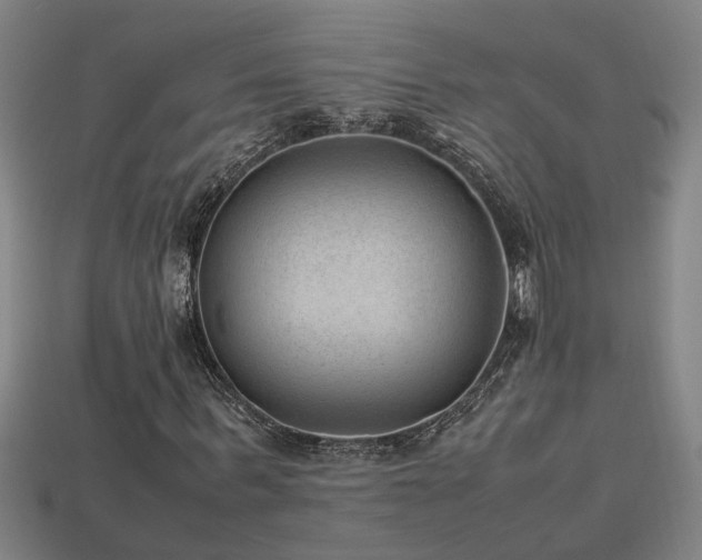 X0000113950963200909251335