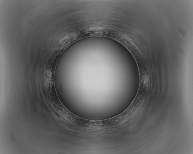 X0000113950964200909251335