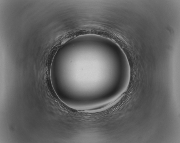 X0000113950965200909251335
