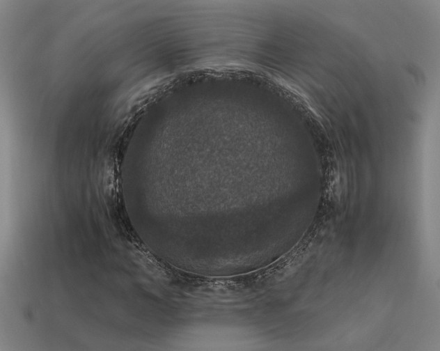 X0000113950966200909251335