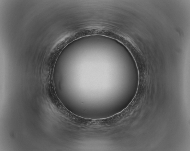 X0000113950967200909251335