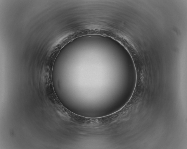 X0000113950968200909251335