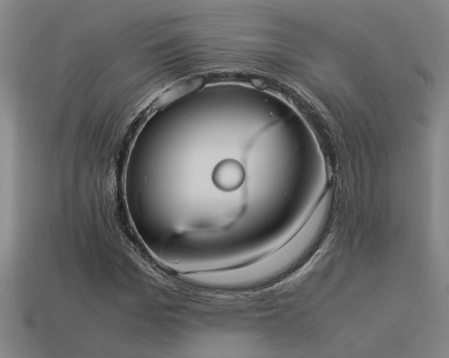 X0000113950969200909251335