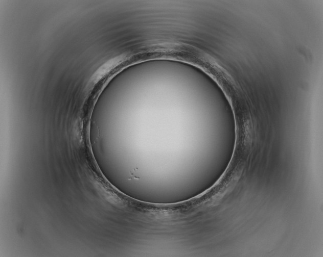 X0000113950970200909251335
