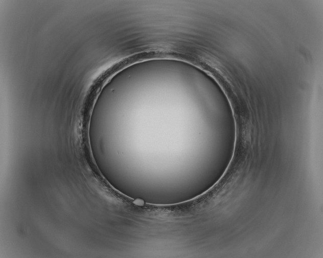 X0000113950971200909251335