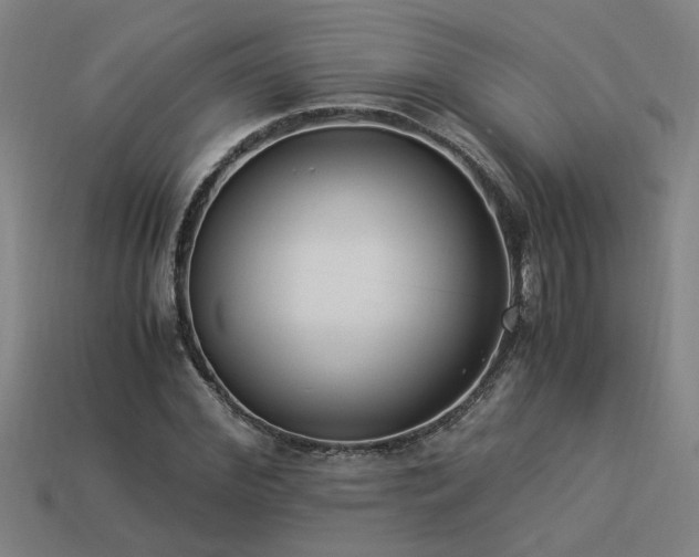 X0000113950972200909251335