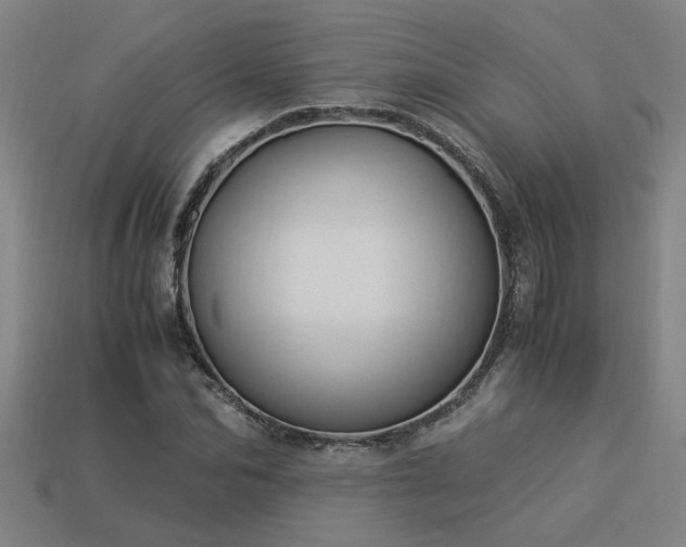 X0000113950974200909251335