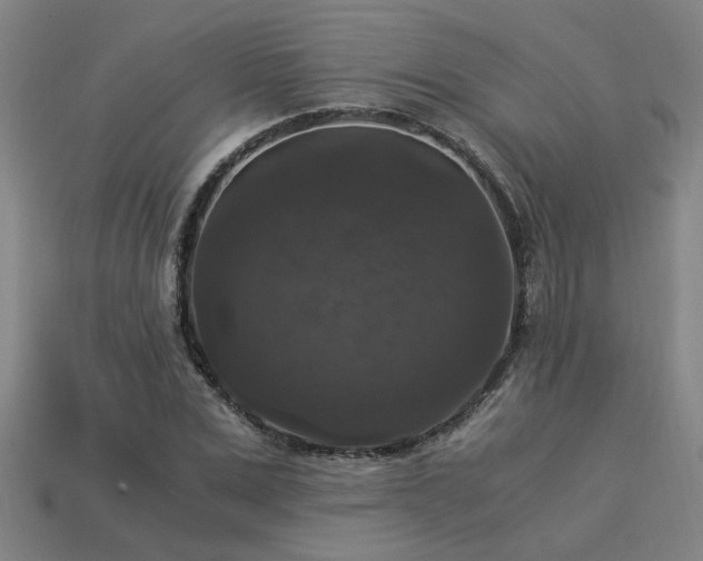 X0000113950975200909251335