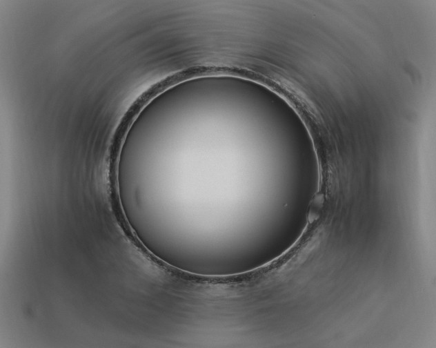 X0000113950976200909251335
