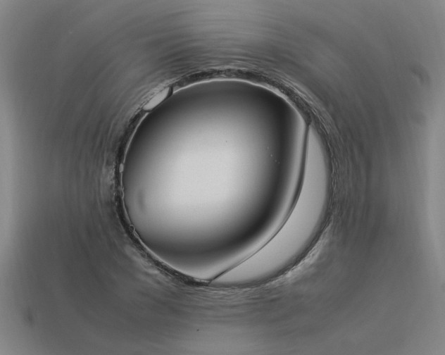 X0000113950977200909251335