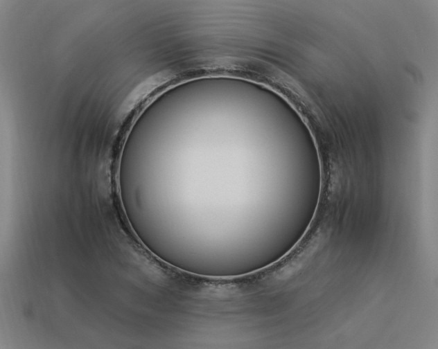 X0000113950978200909251335