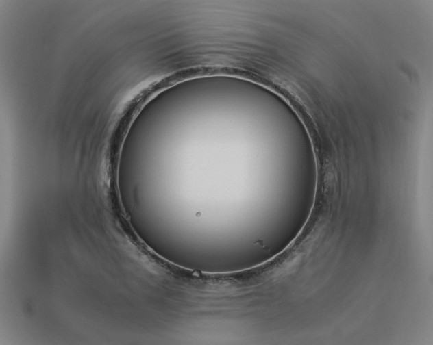X0000113950979200909251335