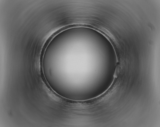 X0000113950980200909251335