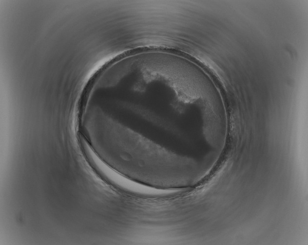X0000113950983200909251335
