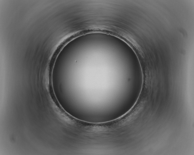 X0000113950984200909251335