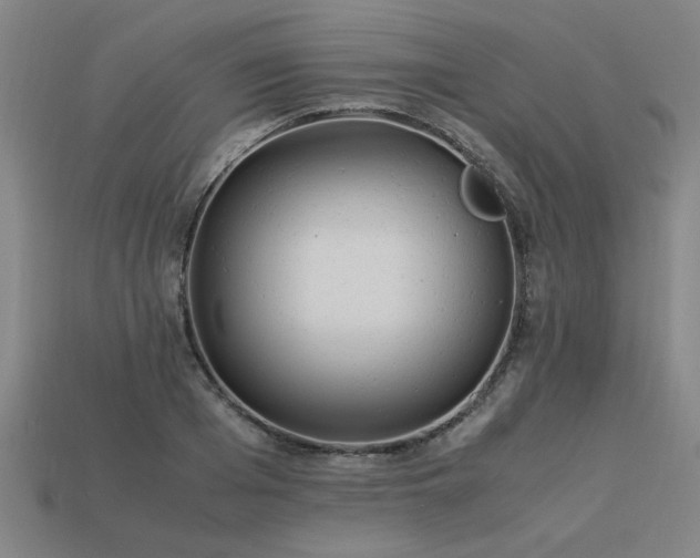 X0000113950985200909251335