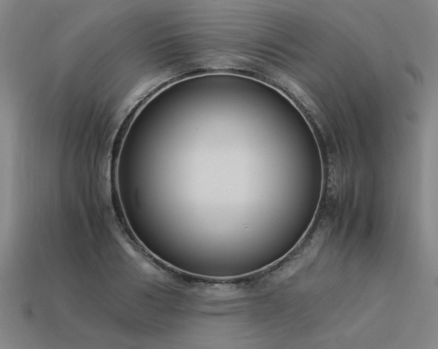 X0000113950986200909251335