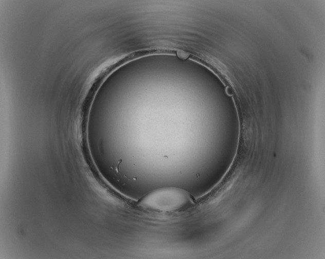 X0000113950987200909251335