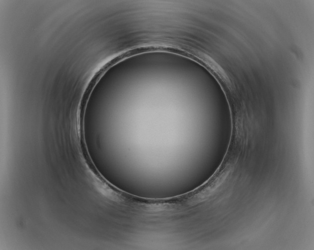 X0000113950988200909251335