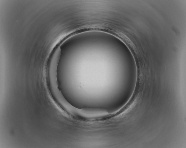 X0000113950989200909251335