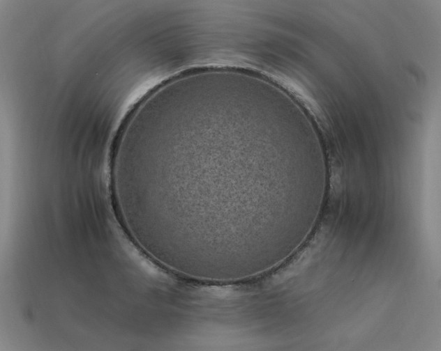 X0000113950990200909251335