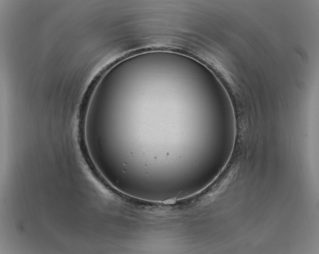 X0000113950991200909251335