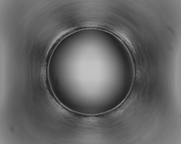 X0000113950992200909251335