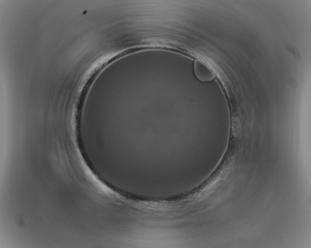X0000113950995200909251335