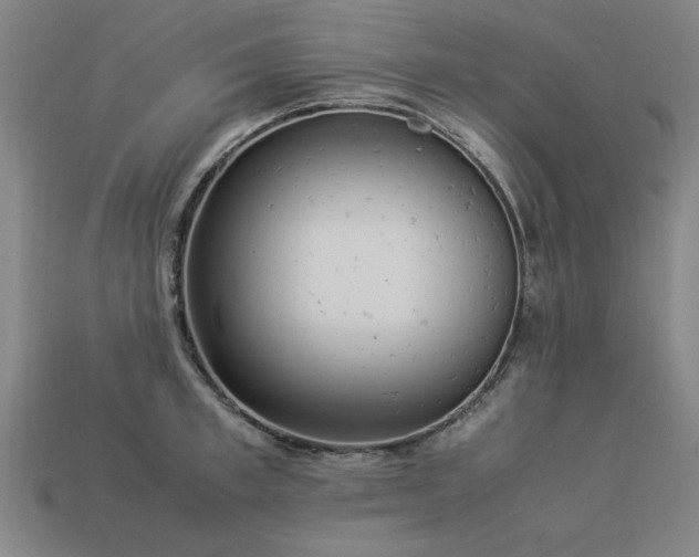 X0000113950997200909251335
